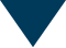 triangle_bleu